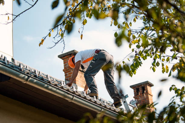 Roof Repair Estimates in Hustisford, WI