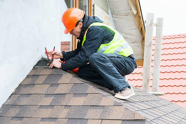 Best Local Roofing Companies  in Hustisford, WI