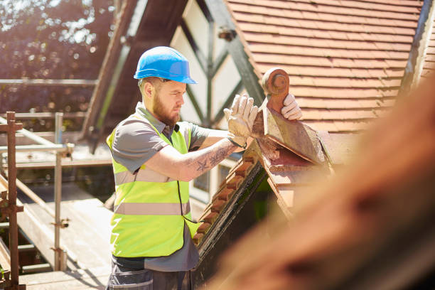 Best Shingle Roofing Installation  in Hustisford, WI