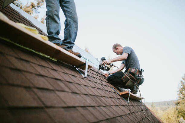 Best Metal Roofing Contractor  in Hustisford, WI