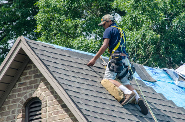 Best Flat Roof Repair Services  in Hustisford, WI